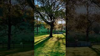 copy 32D5B352 9B64 4F2E AE79 D7EB4D39F717