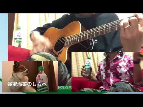 弥蜜塌菜のしらべ(やみつだーさいのしらべ)弾き語り サザン untaro サイダー
