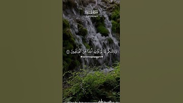 وإذ قال موسى لقومه #القارئ_عمر_السعدني #quran #القران_الكريم #سورة_المائدة تلاوة هادئة ❤️