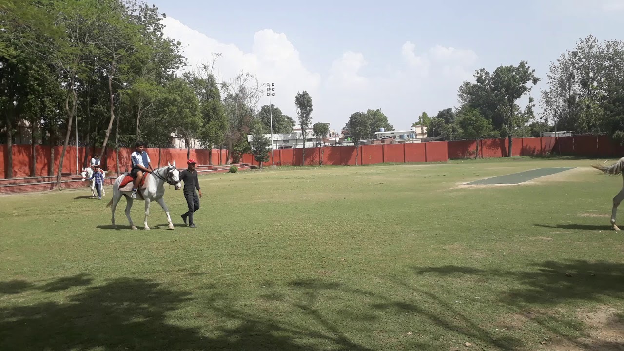 Talwar ghodi baggi(10)