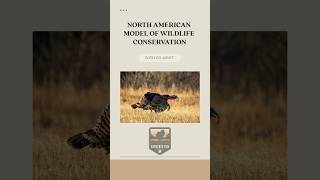 How Science Drives Wildlife Conservation Policy