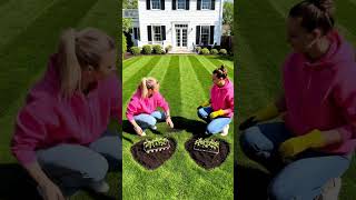 Satisfying Heart-Shaped Garden Transformation | DIY Flower #satisfying #gardening #craft #transform