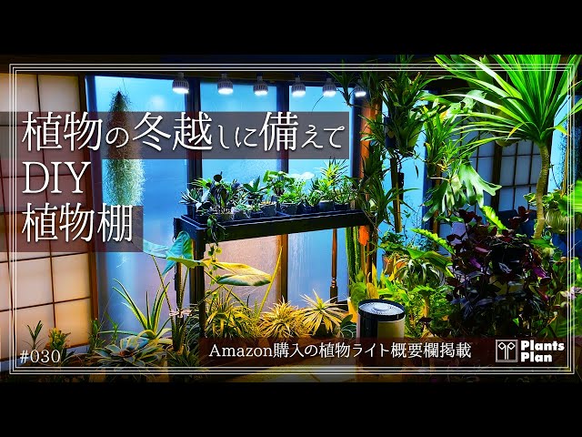 030 [Plant Tips] I made a DIY plant shelf to prepare my plants for