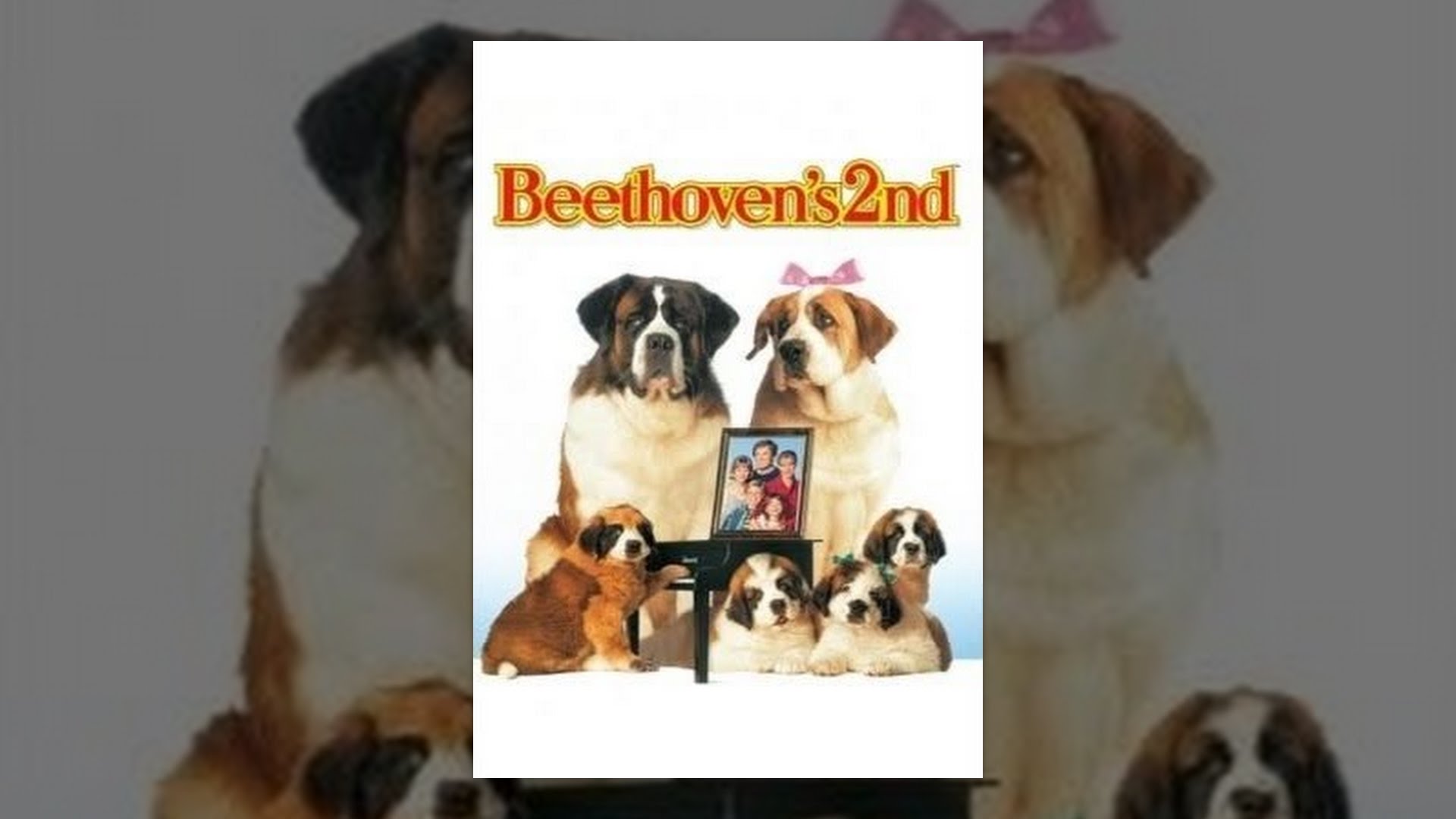 Beethovens 2nd Movie 1993 - 123Movies