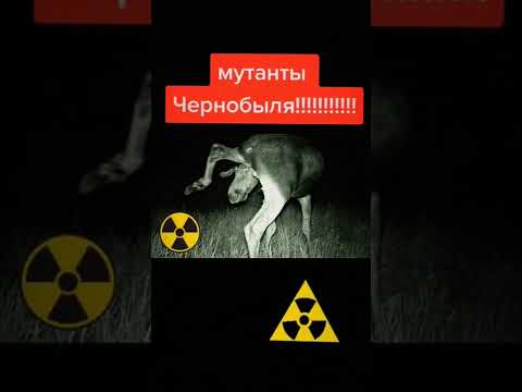 Чернобыльские мутанты