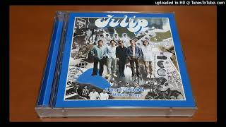 TULIP hope - YouTube