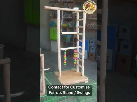 Last Friday of Years 2025, We deal all type of Pets Accessories (Birds Swings, stands, Perch) #pets