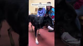 Could You Be Nyx’s Forever Family?