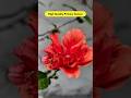Samsung Galaxy S26 Camera Features Explained 📸 AI + 8K + Low Light Test