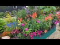 Favorite Garden this Season | Science Shed Tour | Give Jason the Nudge | Bunny | Baby Raccoons