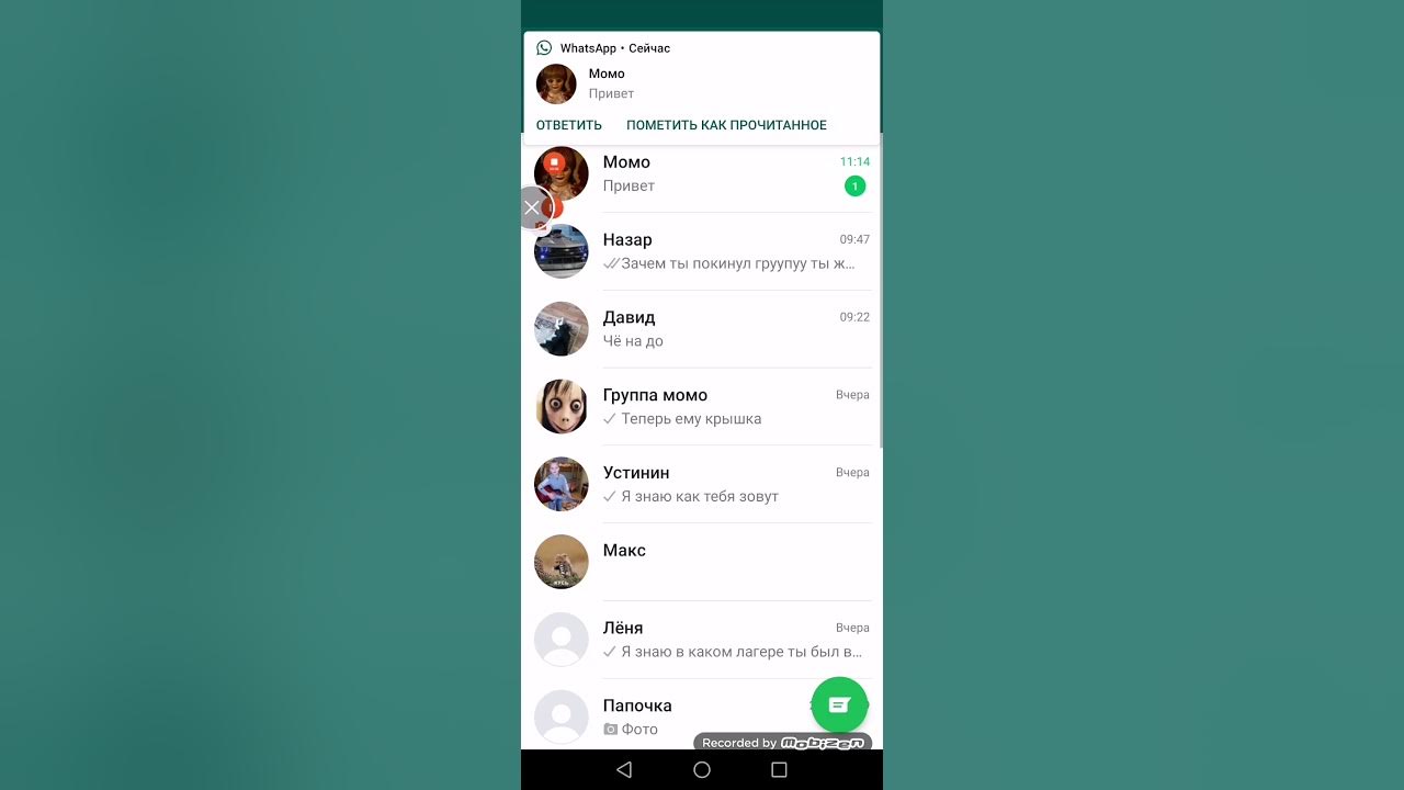 Кукла каяки телеграмм. Страшные переписки с анабель. Номер куклы каяки whatsapp. Кукла каяки телеграмм. Номер куклы каяки whatsapp.