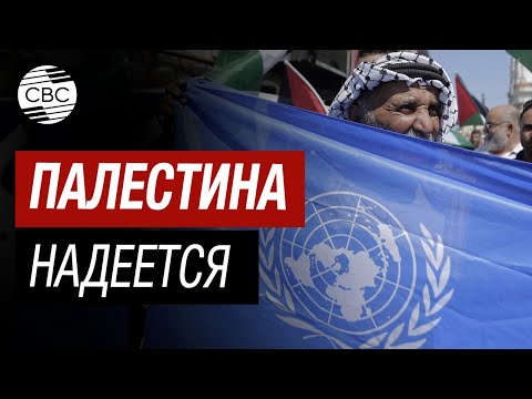 Палестина хочет стать членом ООН
