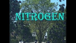 Why do nitrogen fixing plants matter?