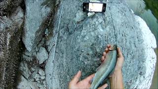 fishing the flathead river for white fish and cutthroat trout out side of hungry horse