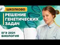 Биология. ЕГЭ2021. Решение генетических задач