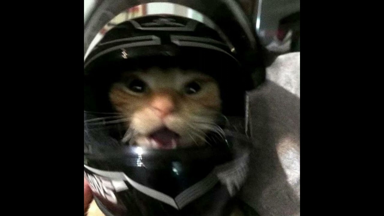 (FREE) star boy + ken carson  Type Beat "godmon"