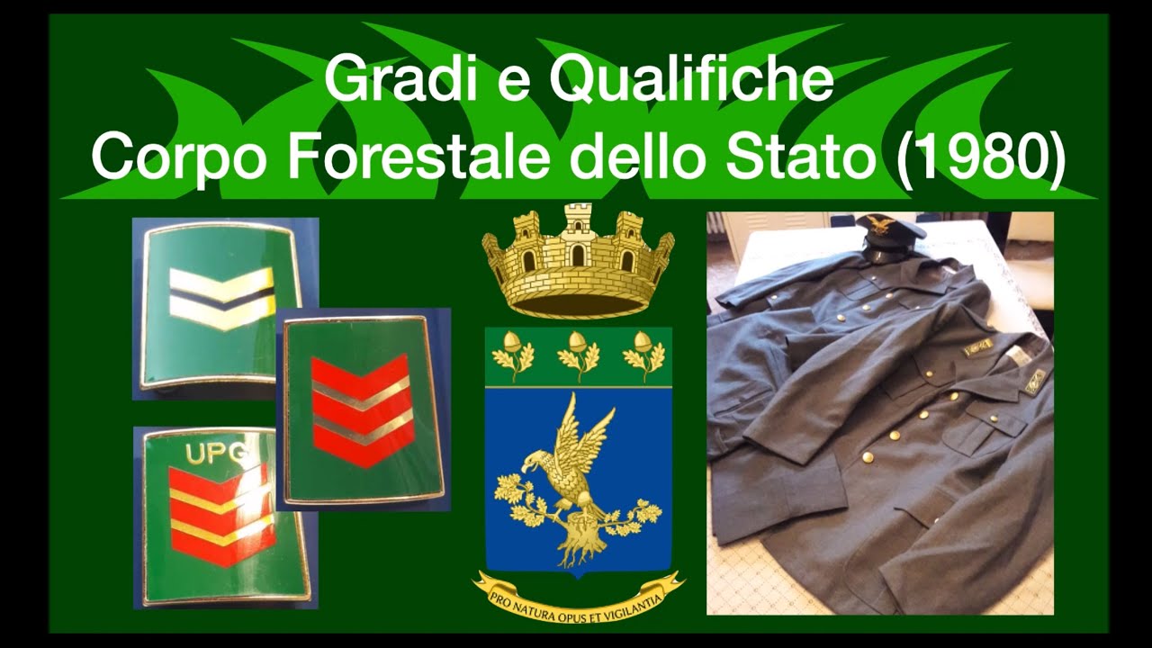 Gradi e Qualifiche Corpo Forestale dello Stato (1980)