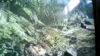cliffside levatation glitches -- cod 5