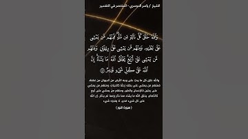 سورة النور الآيات 45-46 ياسر الدوسري