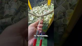 Il Est Devenu Milliardaire Grâce À Cette Astuce