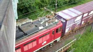 96レ ED75牽引コンテナ列車 跨線橋下通過