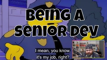 Being a senior dev - funny programming meme review 2021 clip