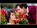 Sadhana Rajendra Kumar Romantic Song Ae Phoolon Ki Rani Baharo Ki Malika Mohd Rafi Arzoo 