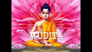 WHAT IS MUDITA - BHANTE PUNNAJI