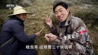 《瞬间中国》 20201128 张飞| CCTV