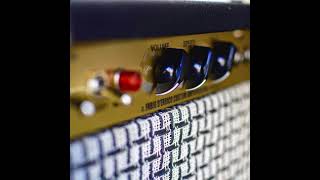 REPEATER analog delay ((O)) D'Errico Custom