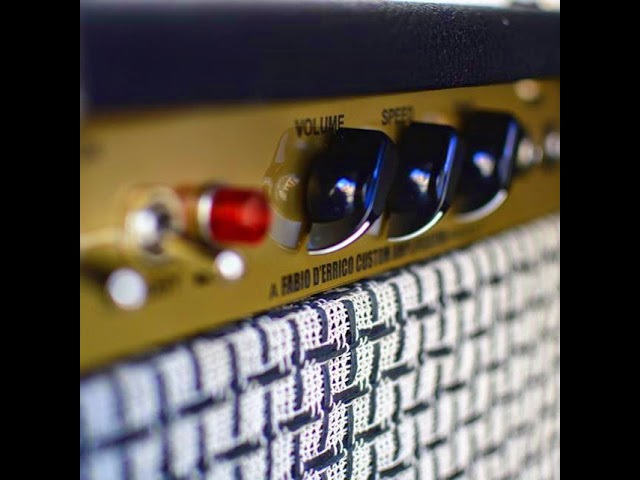 REPEATER analog delay ((O)) D'Errico Custom - YouTube