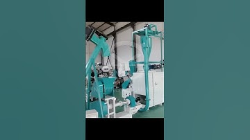 Jingying floating fish feed pellet extruder machine#pellet #fishfood #floating#animal feed