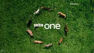 Cortinilla BBC One Dogs