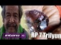 Heboh Keaslian Berlian Seharga 7 Trilyun - Intens