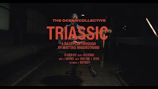 The Ocean - Triassic (Bass Playthrough)