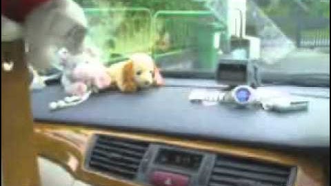 12vdb.com - car audio database: Atomic Apspl10.1