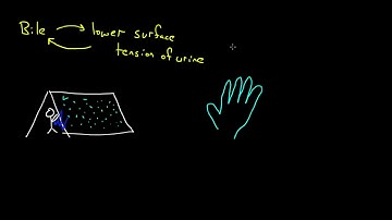 Surface Tension and Adhesion   Fluids   Physics   Khan Academy HD