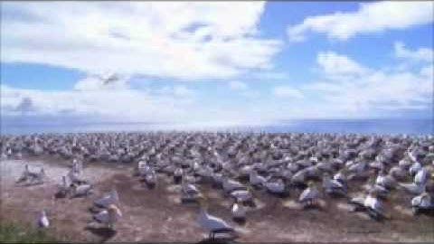 SEO Experts UTAH   Flickr - Photo Sharing!.mp4