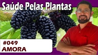 Saúde Pelas Plantas - Amora [asma, bronquite,pneumonia, diabetes, menopausa]