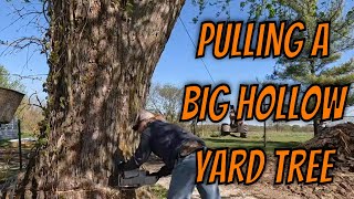 Cutting a big hollow tree in between a house and a building using a log skidder