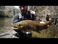 TROUT FISHING JOURNEY - PART 1 / PESCANDO TRUCHAS A MOSCA