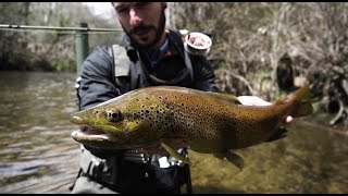 TROUT FISHING JOURNEY - PART 1 / PESCANDO TRUCHAS A MOSCA