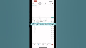 Sai lầm lớn nhất khi trader mới học Forex | Cường Trader #trading #forexchongườimới #hoctradeforex