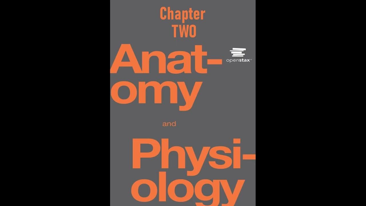 Openstax anatomy and physiology audiobook chapter 2 read along youtube