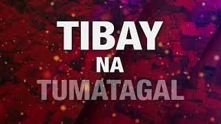 Pioneer ElastoSeal Jingle 2023