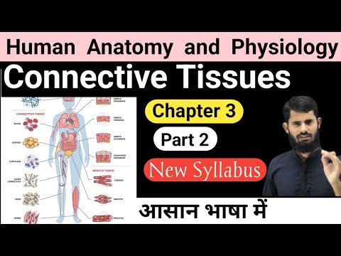Connective Tissue  || HAP chapter 3 part 2 || Types of connective tissue
