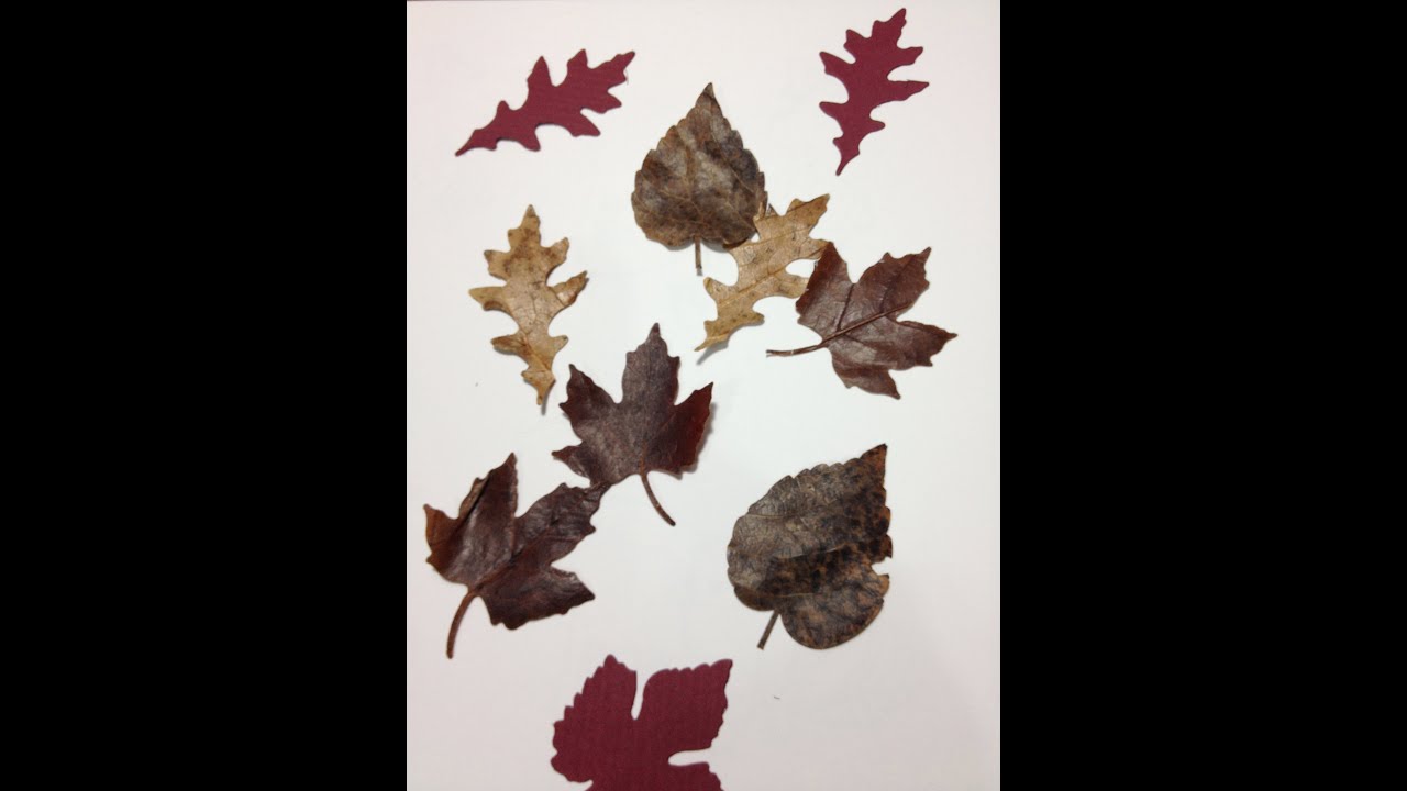 Altering Fall Leaves art journal how to make