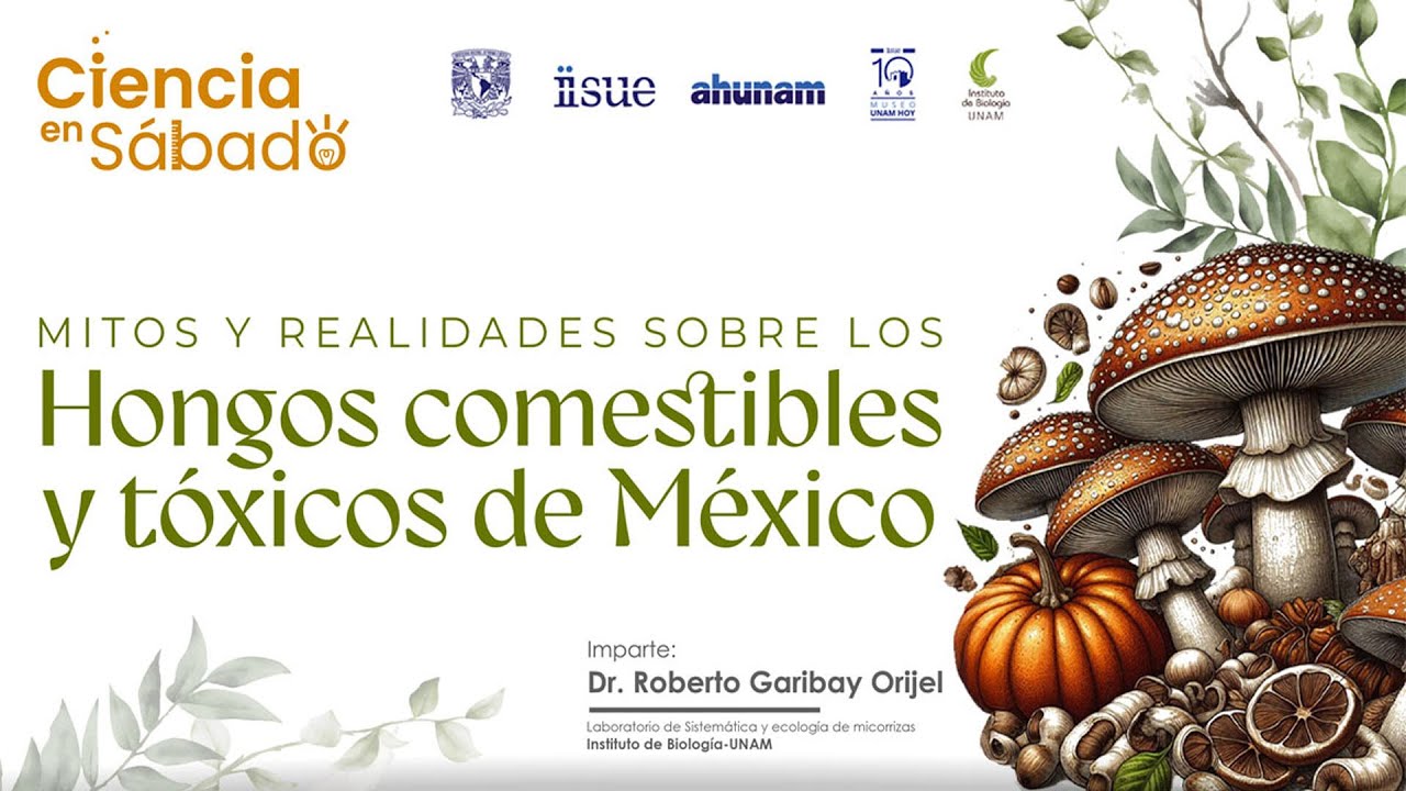 Ciencia en sábado. Hongos comestibles y tóxicos en México. Dr. Roberto Garibay