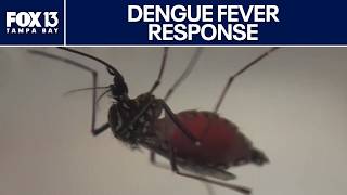 Full Dengue Fever cases: Multiple counties declare states of emergency Guide