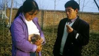 Chinese Woman Breastfeeds Monkeys - Rant Chinese Woman Breastfeeds Monkeys - Rant